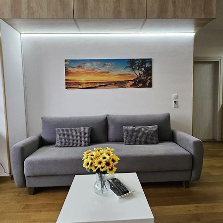Porodicno-Poslovni Udoban Stan Belgrado Exterior foto
