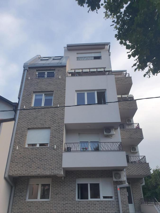 Porodicno-Poslovni Udoban Stan Belgrado Exterior foto