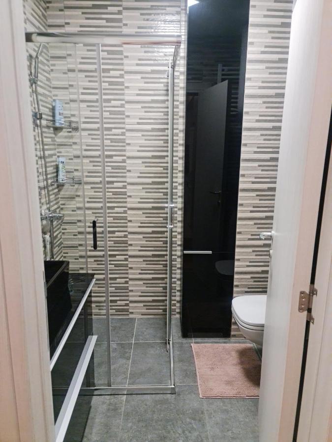 Porodicno-Poslovni Udoban Stan Belgrado Exterior foto