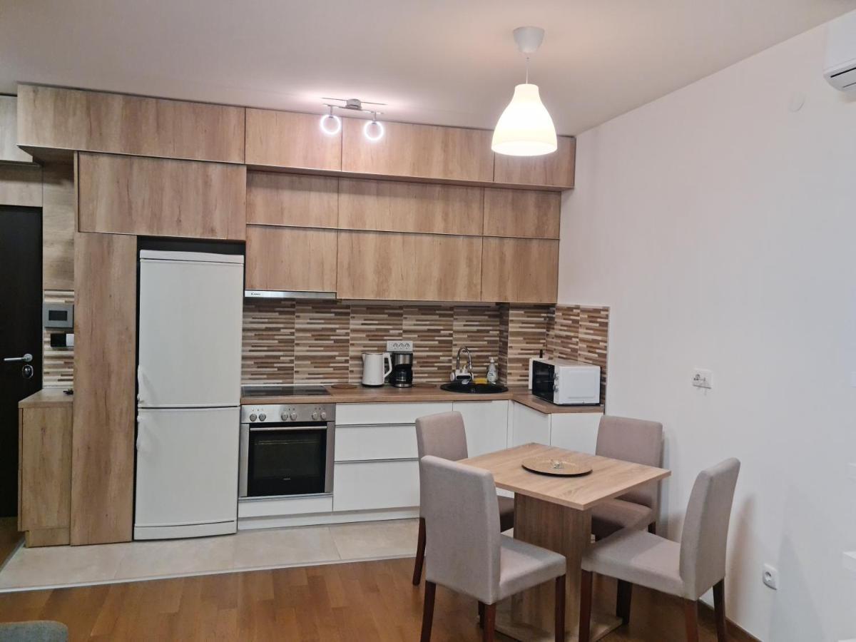 Porodicno-Poslovni Udoban Stan Belgrado Exterior foto