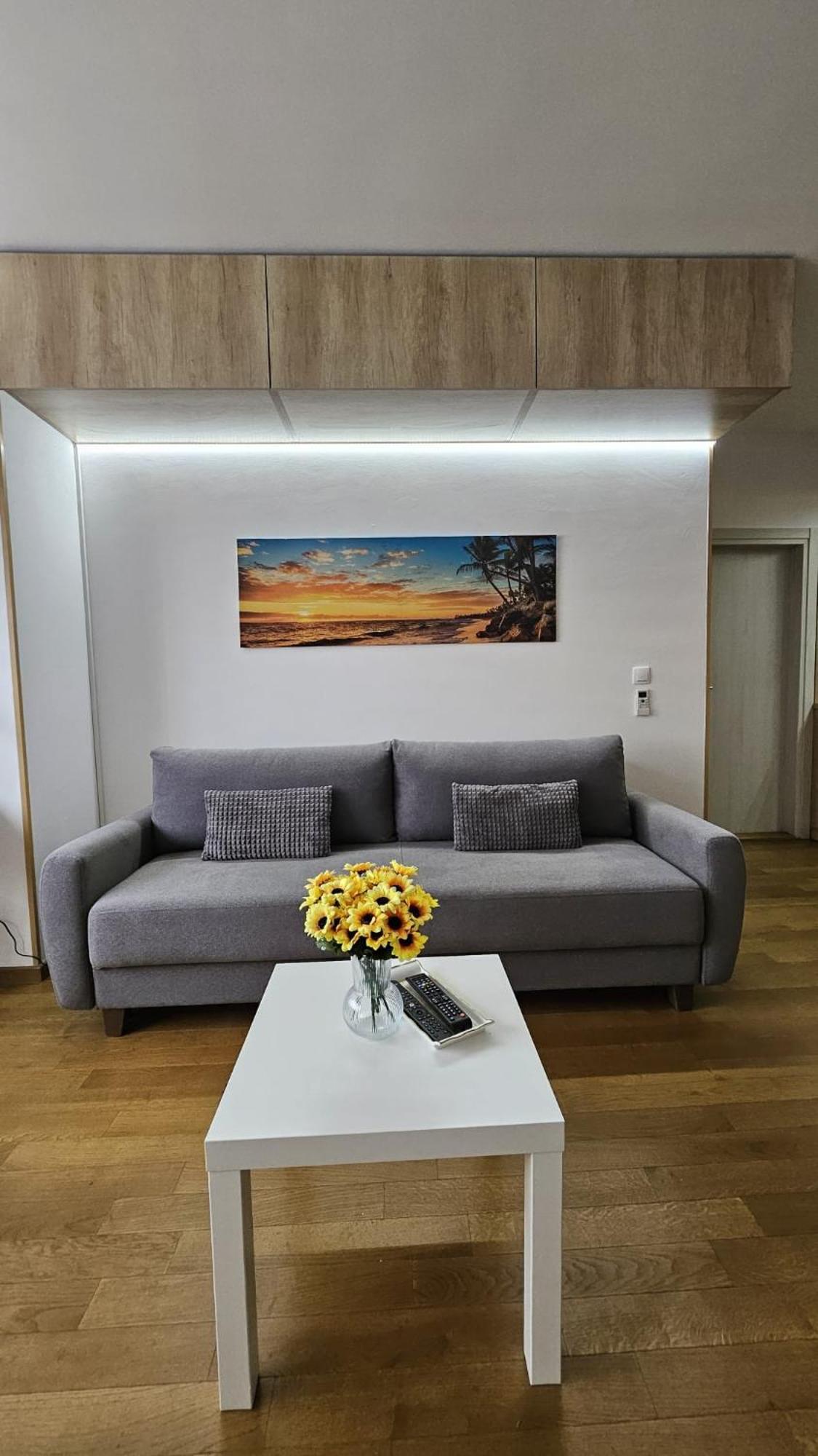 Porodicno-Poslovni Udoban Stan Belgrado Exterior foto