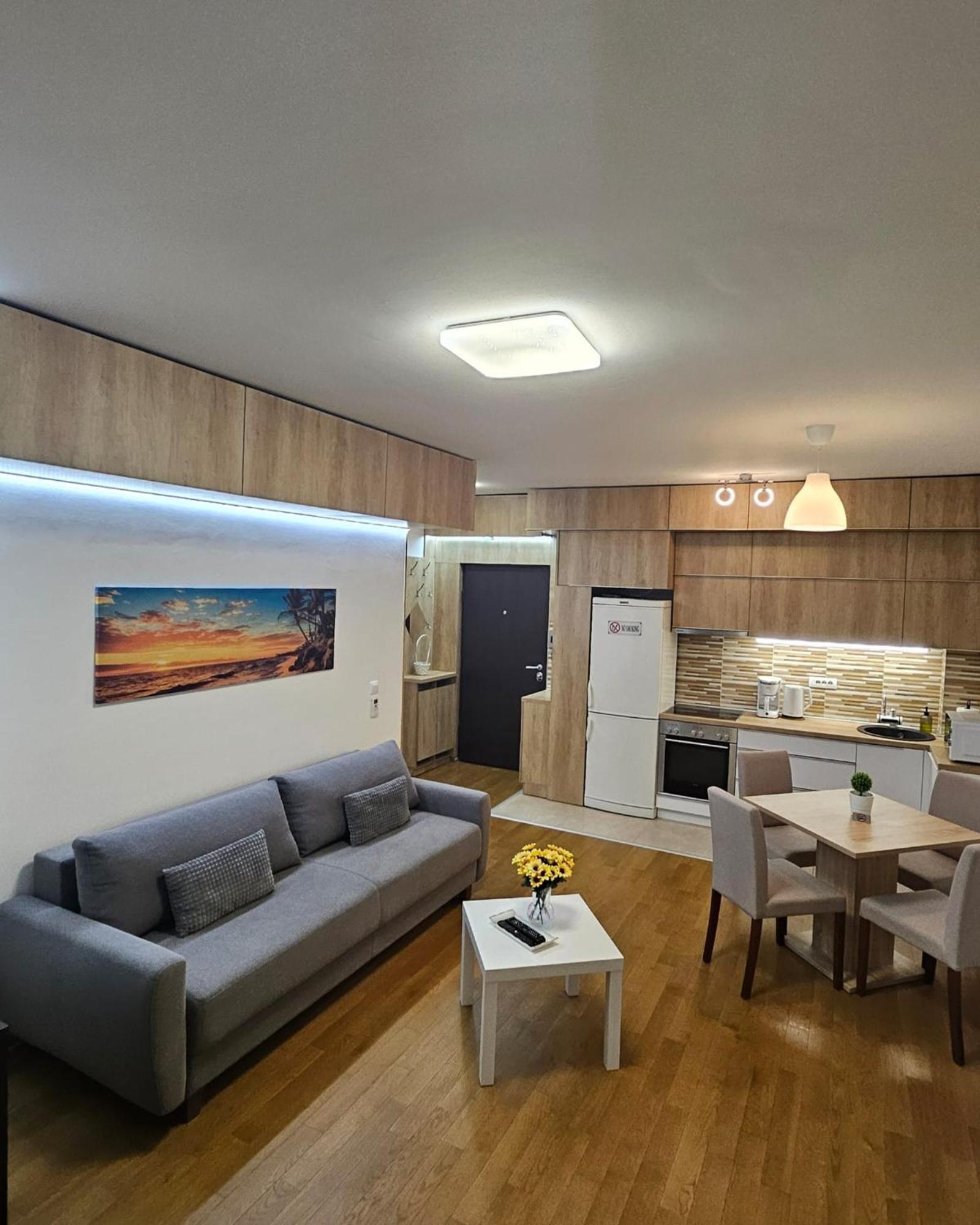 Porodicno-Poslovni Udoban Stan Belgrado Exterior foto